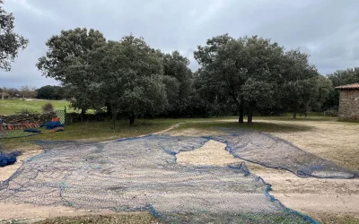 Recogida de redes anti-drones