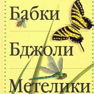 Бабки Бджоли  Метелики